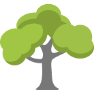 Edmond Tree Removal